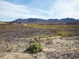 Death Valley 029